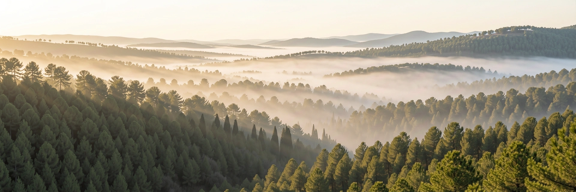 Entorno sonoro natural